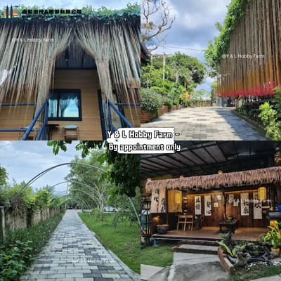 Y&L Hobby Farm Kota Tinggi Johor — private kampung farmstay by appointment near Gunung Panti forest